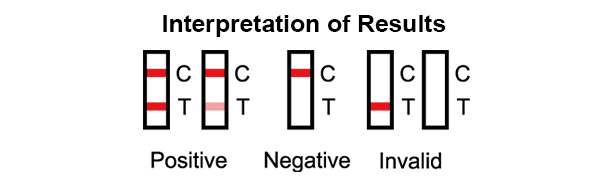 Interpretation of Results